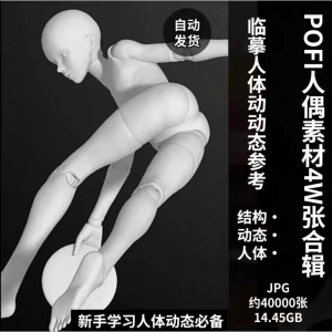 pofi无限人偶4W截图绘画素材pofi无线人偶人体动态学习素材临摹-资源后花园