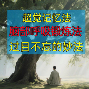 过目不忘修炼记忆力脑部呼吸锻炼法改造大脑健身气功养生训练方法-资源后花园