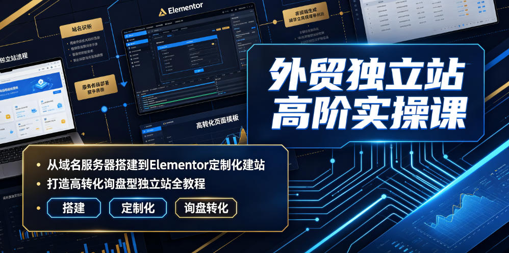 外贸独立站高阶实操课｜从域名服务器搭建到Elementor定制化建站，打造高转化询盘型独立站全教程-资源后花园