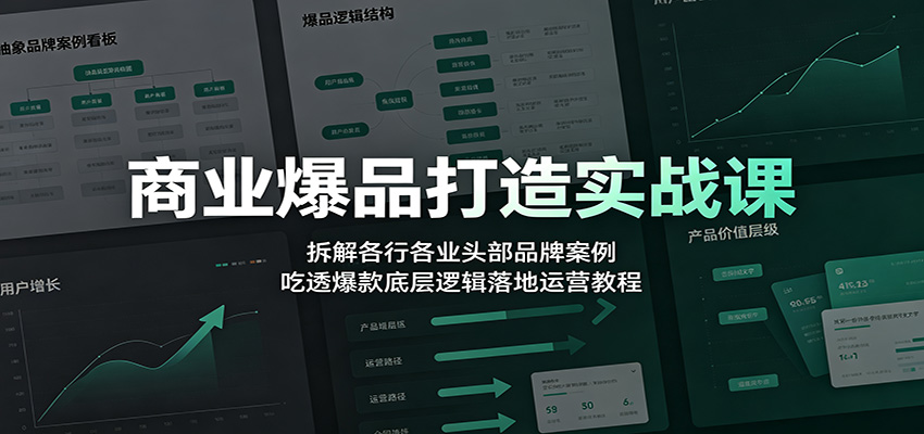 商业爆品打造实战课：拆解各行各业头部品牌案例，吃透爆款底层逻辑落地运营教程-资源后花园