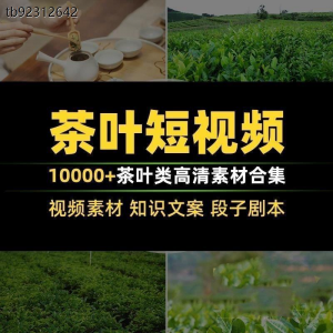 茶叶茶业茶具茶道茶艺茶文化知识文案茶园采茶泡茶高清短视频素材-资源后花园