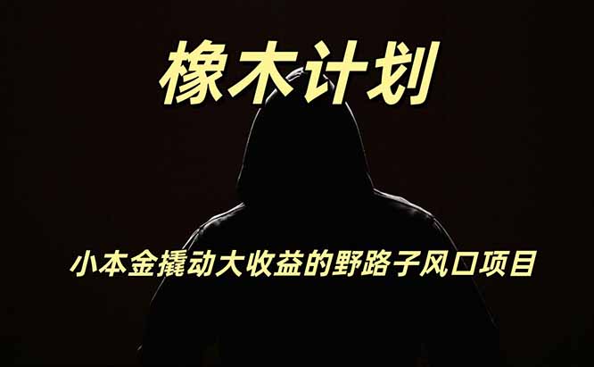 橡木计划，小投入撬动高回报的风口野路子项目，一天投入2小时左右-资源后花园