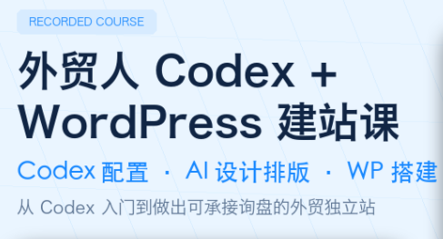 大卫·外贸人Codex + WordPress建站课(更新8月)-资源后花园