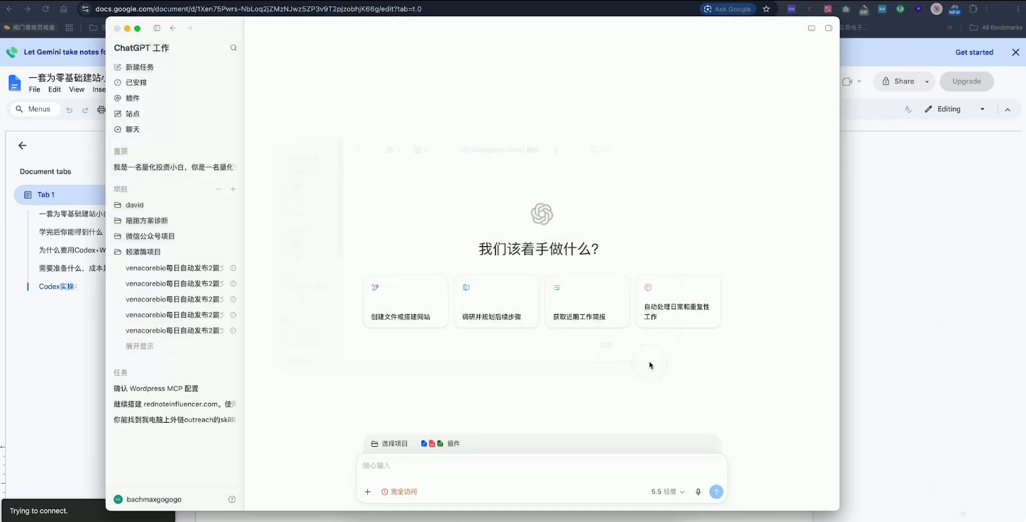 大卫·外贸人Codex + WordPress建站课(更新8月)