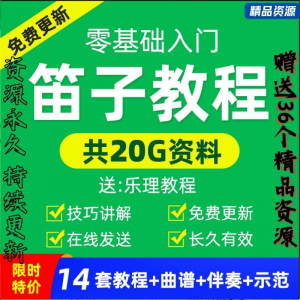 零基础笛子教程自学入门进阶视频初学者教学成人儿童学竹笛教材全-资源后花园