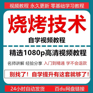 烧烤技术教程视频配方书东北重庆烧烤技术配方教程自学教材零基础-资源后花园