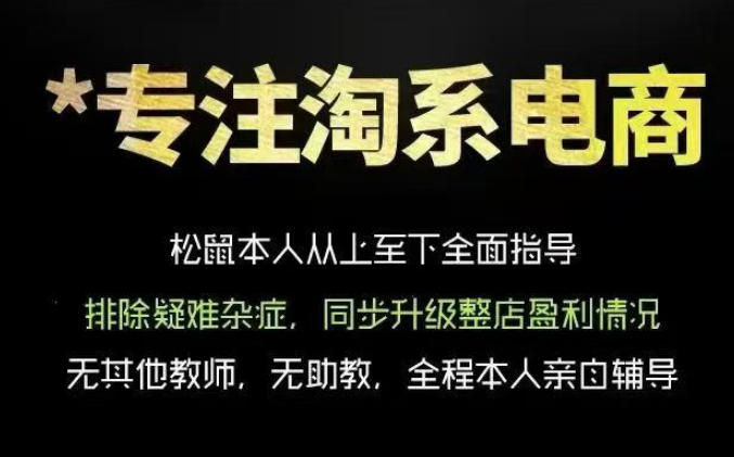 松鼠会电商VIP课程，从基础布局到高阶优化，助你掌握淘宝运营逻辑，提升店铺流量与转化(更新0815)-资源后花园