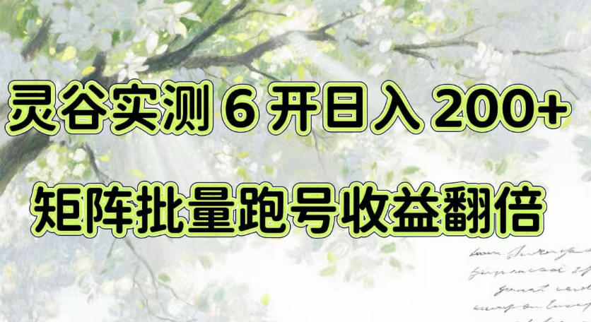 一台电脑就能做！灵谷实测6开日入200+，矩阵批量跑号收益翻倍【揭秘】-资源后花园