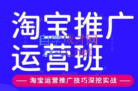 美迪电商·淘宝高级运营班+推广运营班(更新9月)-资源后花园