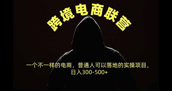 跨境电商联营，一个不一样的电商，普通人可操作日入300-500+-资源后花园