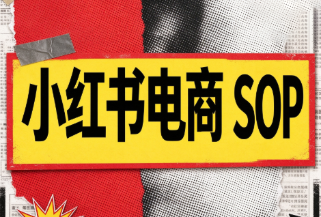 书豪必胜小红书电商sop(更新9月)-资源后花园
