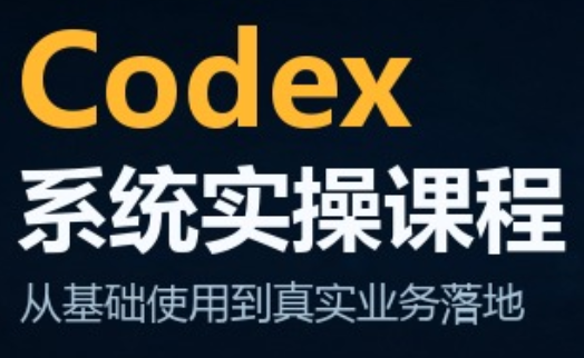 codex系统实操课程(更新10月)-资源后花园