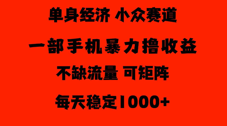 26年暴力单身经济，稳定日入500-1k，不缺流量，流量极大，冷门小众赛道，门槛低小白轻松上手【揭秘】-资源后花园