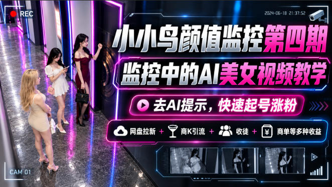 小小鸟颜值监控第四期，监控中的AI美女视频教学，去AI提示，快速起号涨粉，网盘拉新+商K引流+收徒+商单等多种收益-资源后花园
